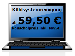 Kühlsystemreinigung